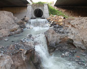 讓廢水變“活水”！鎮(zhèn)海再生水“養(yǎng)”出生態(tài)濕地公園